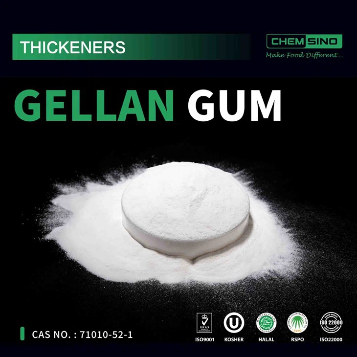 Seni Kuliner Bertemu Sains: Dampak Gellan Gum Terhadap Keunggulan Makanan CAS NO.71010-52-1