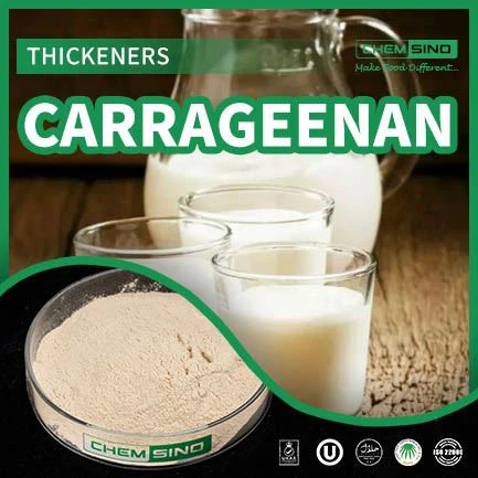 Karagenan: Menciptakan Kisah Sukses untuk Makanan Anda, Meningkatkan Tekstur dan Penampilan! NO CAS.9000-07-1