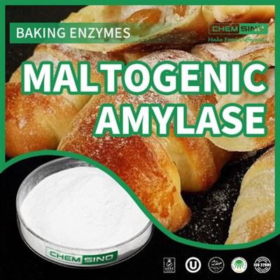 Brewing Brilliance 2.0: Keunggulan Kerajinan Dengan Amilase Maltogenik.CAS NO. 9000-92-4