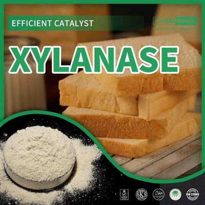 Enzim Xilanase: Mendefinisikan Ulang Efisiensi - CAS 9025-57-4 Tidak Terkunci!